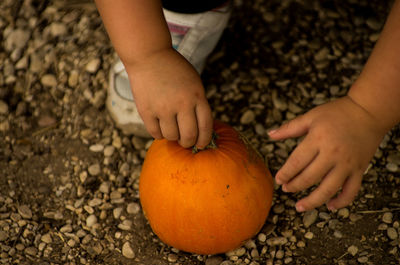 Child holding pumpkin