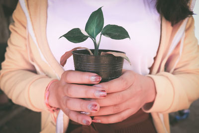 Close-up of woman hand holding potted plant