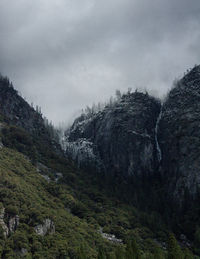 Low angle view of trees on mountain against sky