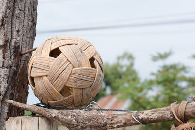 Close-up of wicker basket on tree trunk