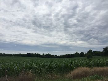 Scenic view of field against cloudy sky