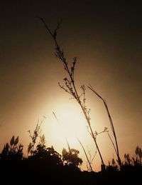 Silhouette of trees against sky at sunset