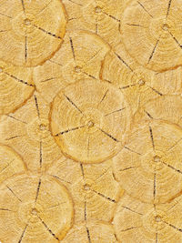 Wooden natural logs as background, chopped round logs of firewood.