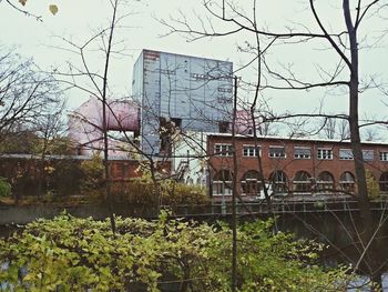 Building with trees in background