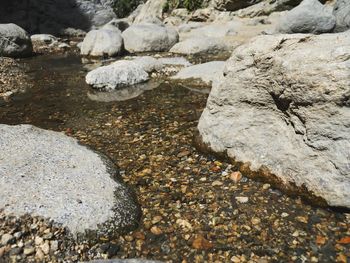 Rocks on shore