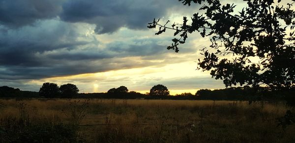 Scenic view of field against sky during sunset