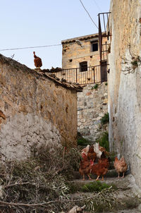 View of a building