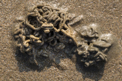 Close-up of sand on beach