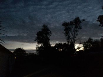 Silhouette of trees at sunset