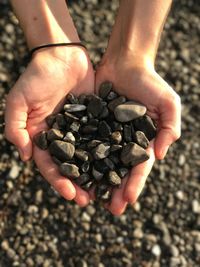 Close-up of hand holding pebbles