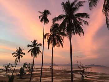 Silhouette palm trees on beach against sky at sunset