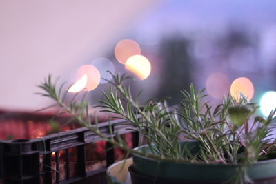 Some pots on the roof