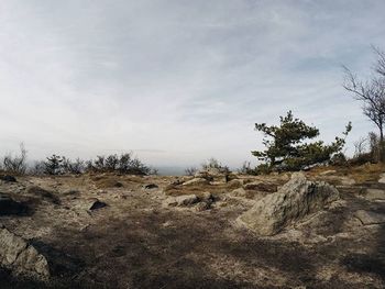 Scenic view of landscape against cloudy sky