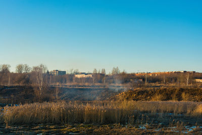 Scenic view of field against clear blue sky