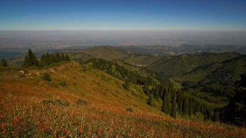 Scenic view of landscape against sky