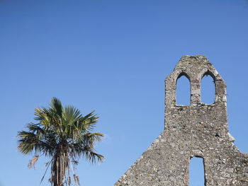 Low angle view of palm tree against clear blue sky