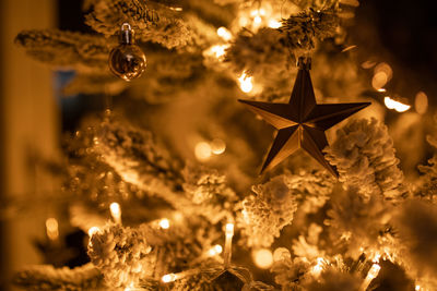 Christmas lights hanging on tree