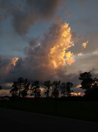 Silhouette trees against sky at sunset