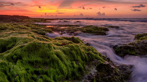 Scenic view of river against sky during sunset