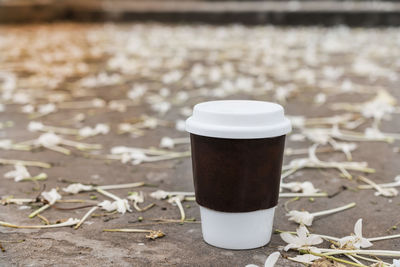 White glass coffee cup in the morning nature flower background in park