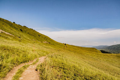 Scenic view of landscape against sky