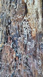 Full frame shot of cracked wall