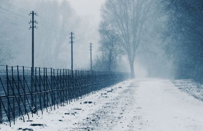 Road amidst trees on field against sky during winter