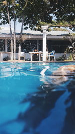 Swimming pool against trees