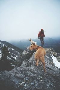 Man with dog on rock against sky