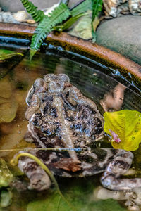 Reflection of man in water