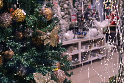 Close-up of christmas tree
