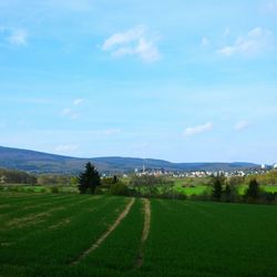 Scenic view of landscape against cloudy sky