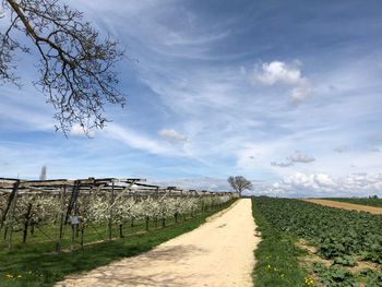 Road amidst field against sky