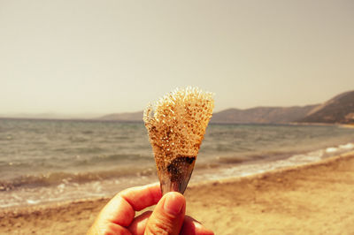 Cropped image of hand holding coral against sea at beach