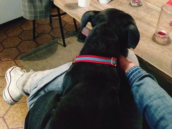 Low section of man with dog sitting on floor