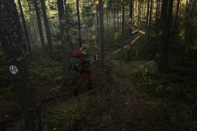 Man standing amidst trees in forest