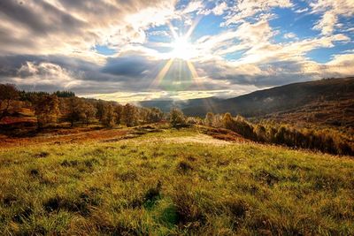 Scenic view of field against sky