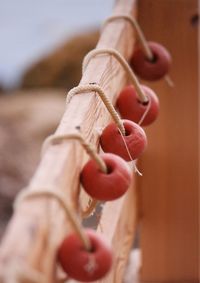 Close-up of hand holding rope
