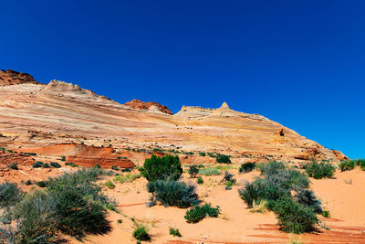 Scenic view of desert against clear blue sky