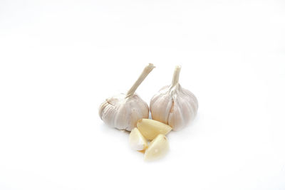 Close-up of ice cream over white background