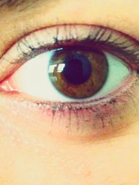 human eye