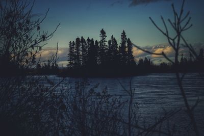Scenic view of lake in forest during sunset