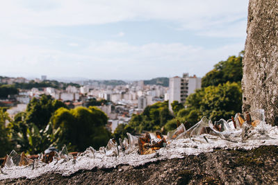 Close-up of broken bottles on wall in city