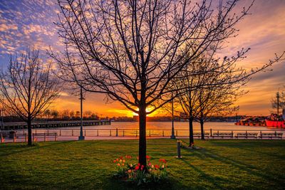 Bare tree by lake against sky during sunset