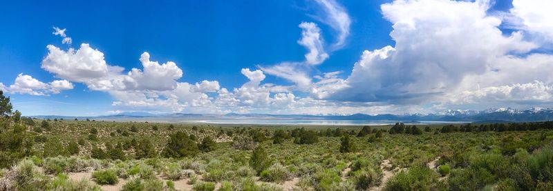 Panoramic view of landscape against sky