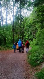 Rear view of people walking on footpath in forest