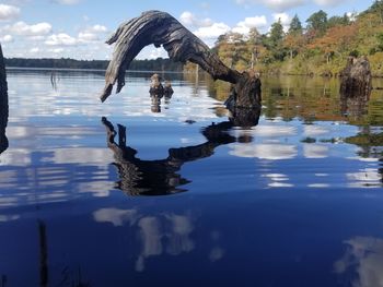 Optional illusion lake reflects 