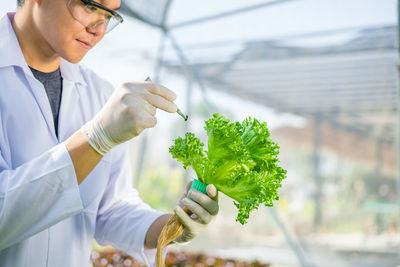 Midsection of botanist examining vegetable at greenhouse