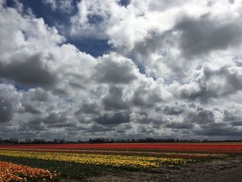 Scenic view of field against cloudy sky