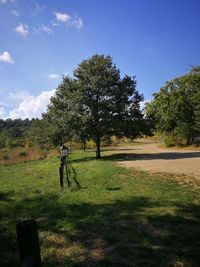 Trees on field against sky